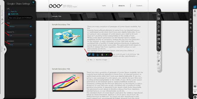 Google+ share settings panel